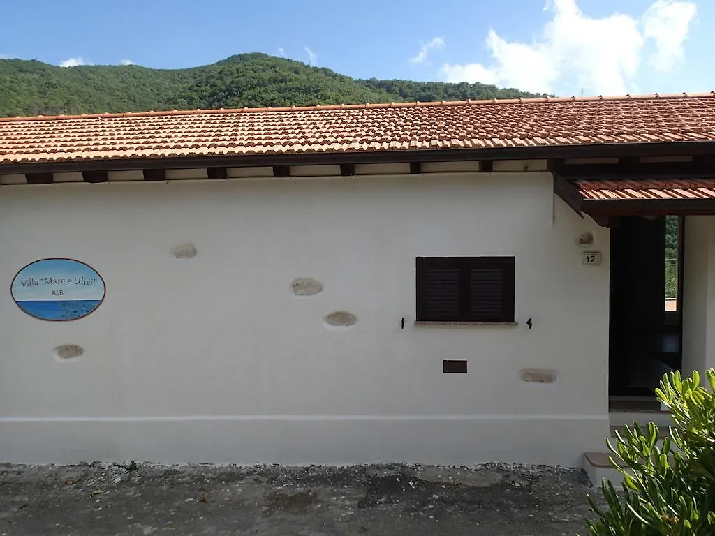 B&B Villa Mare E Ulivi Alassio Bed & Breakfast
